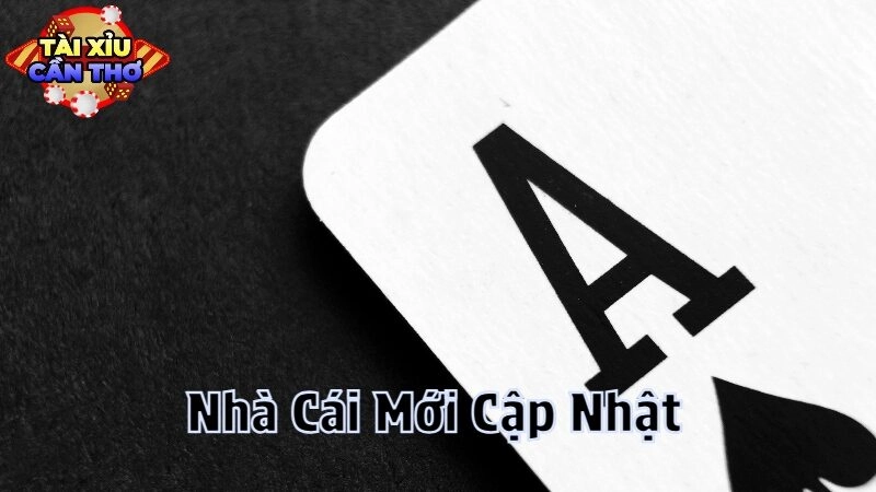 Nhà Cái Mới Cập Nhật Mang Đến Trải Nghiệm Mới